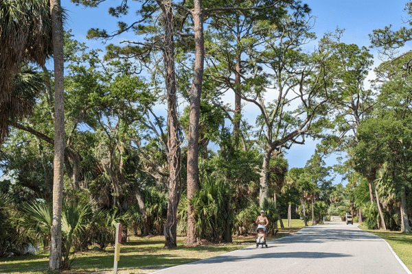Fripp Island Nature Trail